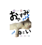 かわいい猫ちゃん（みゅーちゃん）（個別スタンプ：3）