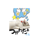 かわいい猫ちゃん（みゅーちゃん）（個別スタンプ：14）