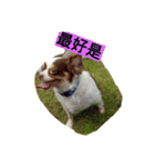 Pudding May（個別スタンプ：6）