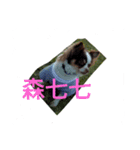 Pudding May（個別スタンプ：8）