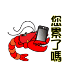 QQ shrimp life-two（個別スタンプ：28）