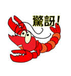 QQ shrimp life-two（個別スタンプ：35）