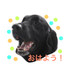 flat Only（個別スタンプ：14）