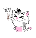 Kato The Lovely Cat（個別スタンプ：12）