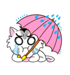 Kato The Lovely Cat（個別スタンプ：39）