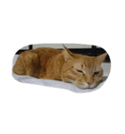 にゃんにゃんパラダイス（個別スタンプ：4）