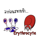 Hematology - Blood Cell Family（個別スタンプ：6）