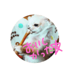 【チワワ】ましゅとくふぃと仲間たち（個別スタンプ：21）