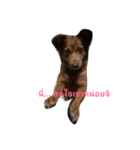 I am naem（個別スタンプ：1）