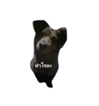 I am naem（個別スタンプ：3）