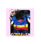 うちの猫ちゃんスタンプ（個別スタンプ：26）