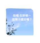 Photo Greeting Stickers C.（個別スタンプ：3）