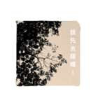 Photo Greeting Stickers C.（個別スタンプ：5）