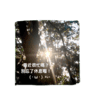 Photo Greeting Stickers C.（個別スタンプ：7）