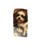 dog gig（個別スタンプ：3）