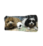 dog gig（個別スタンプ：16）
