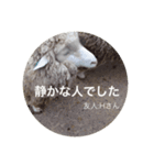 ひつじのインタビュー（個別スタンプ：1）