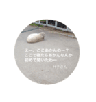 ひつじのインタビュー（個別スタンプ：6）