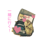 使えるねこたち（個別スタンプ：8）