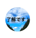 空の旅しませんか？4（個別スタンプ：11）