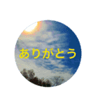 空の旅しませんか？4（個別スタンプ：16）