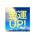 空の旅しませんか？4（個別スタンプ：22）