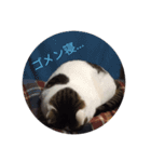 たび＆むぎ（個別スタンプ：5）