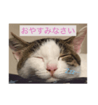 たび＆むぎ（個別スタンプ：7）