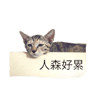 myhanhan（個別スタンプ：5）