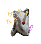 happybirthday to you（個別スタンプ：3）