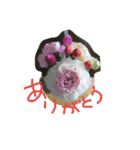 happybirthday to you（個別スタンプ：6）