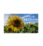 happybirthday to you（個別スタンプ：10）