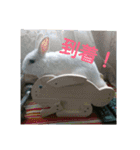 happybirthday to you（個別スタンプ：14）