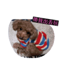 puppy diary（個別スタンプ：4）