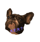 モジャ男（個別スタンプ：3）