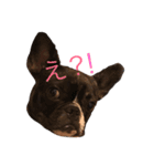モジャ男（個別スタンプ：4）
