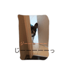 モジャ男（個別スタンプ：16）