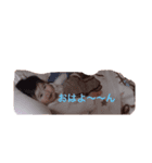 使えるアヤノ（個別スタンプ：6）