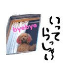 愛犬チョッパー。2（個別スタンプ：3）