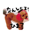 愛犬チョッパー。2（個別スタンプ：6）
