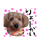 愛犬チョッパー。2（個別スタンプ：10）