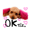 愛犬チョッパー。2（個別スタンプ：14）