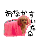愛犬チョッパー。2（個別スタンプ：16）