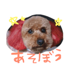 愛犬チョッパー。2（個別スタンプ：18）