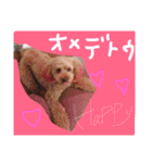 愛犬チョッパー。2（個別スタンプ：20）