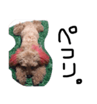 愛犬チョッパー。2（個別スタンプ：24）