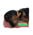 たっくんとももちゃん（個別スタンプ：6）