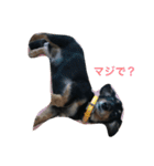 たっくんとももちゃん（個別スタンプ：8）