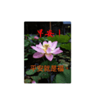 Good morning picture ！（個別スタンプ：1）