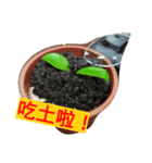 08 a life.（個別スタンプ：1）